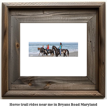 horse trail rides near me in Bryans Road, Maryland